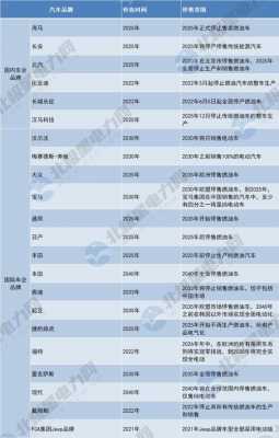 新能源汽车示范城市申报（新能源示范城市名单）-图3