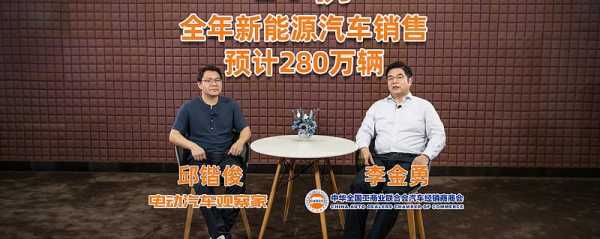 新能源汽车协会（新能源汽车协会李金勇简历）-图3