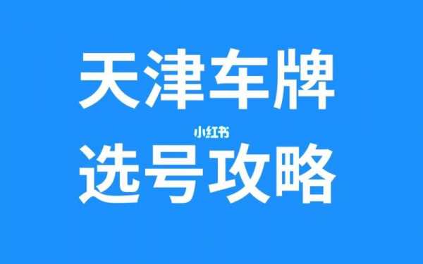 天津新能源汽车预约选号（天津新能源车网上选号）-图2