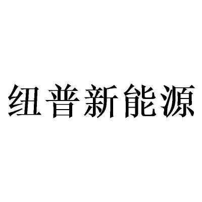 尚普新能源汽车（尚普光电有限公司怎么样）-图3