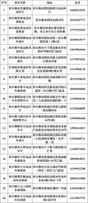 新能源汽车库尔勒（库尔勒电动车销售点）-图2