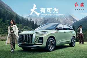 新能源汽车红旗suv（新能源汽车红旗h5）-图2