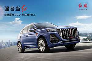 新能源汽车红旗suv（新能源汽车红旗h5）-图3