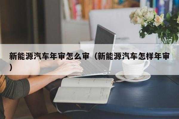 新能源汽车验车麻烦吗（新能源验车需要带什么手续）-图3