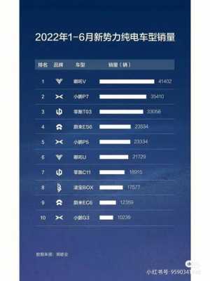 外新能源汽车品牌排行（新能源汽车品牌排行榜123网）-图3