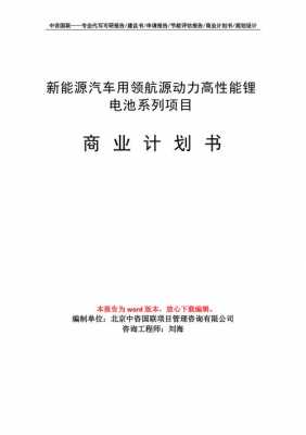 新能源汽车企划书（新能源创业企划书）-图3