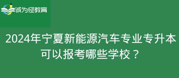 黑龙江新能源汽车（黑龙江新能源汽车技术专升本）-图3