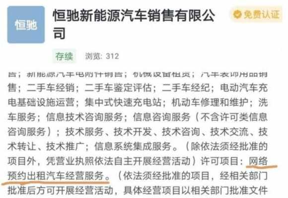 新能源汽车停卖（新能源停牌）-图3