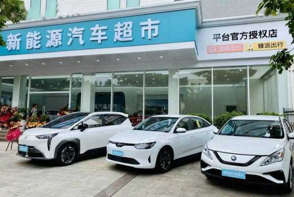 新能源品牌汽车2017（新能源品牌汽车维修连锁品牌）-图3