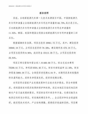 新能源汽车策（新能源汽车策划书范文）-图2