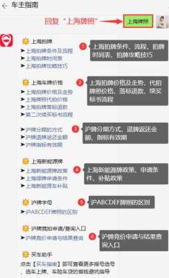 新能源汽车沪牌政策（新能源沪牌上牌流程）-图1