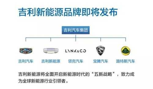 最新成立的新能源汽车（最新成立的新能源汽车品牌）-图3