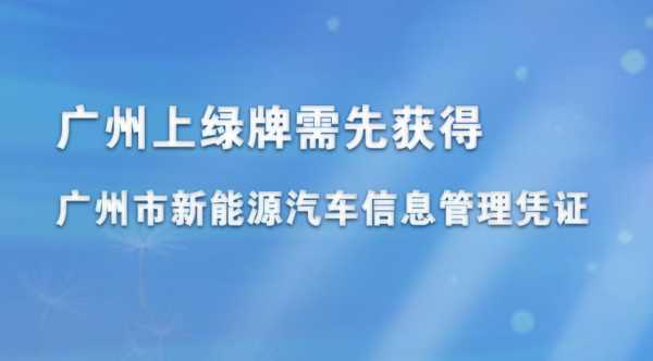 保定新能源汽车绿牌（保定新能源汽车绿牌申请条件）-图2