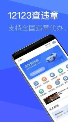 新能源汽车查违章（新能源汽车查违章app）-图3