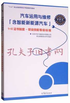 新能源汽车职业标准（新能源汽车职业技能等级）-图2