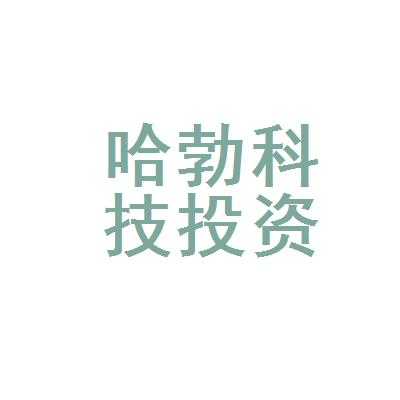 哈勃新能源汽车（哈勃科技投资有限公司官网）