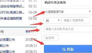 新能源汽车查违章吗（新能源汽车交通违章查询）-图3