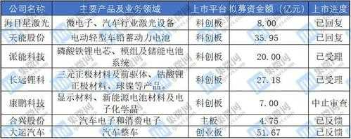 新能源汽车ipo（新能源汽车ipo最新消息）-图3