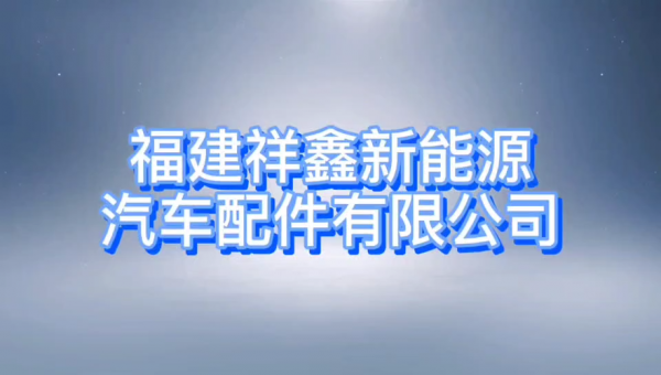 福建新能源汽车企业（福建汽车新能源科技有限公司有哪几家）-图2