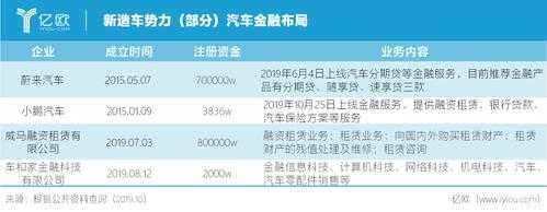 新能源汽车金融（紫朵科技新能源汽车金融）-图3